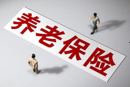 国产a级一级久久毛片,揭秘一级久久毛片背后的故事